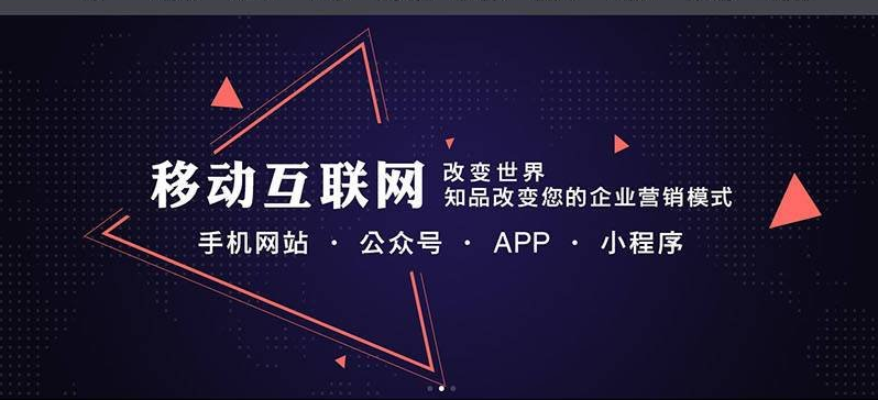 平阳手机网站
